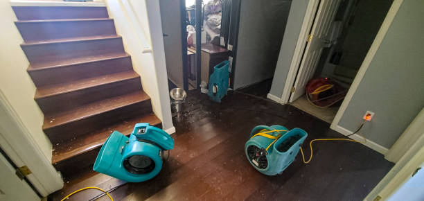  , DE Water damage restoration Pros