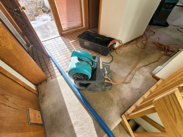 Best Water damage restoration near me  in , DE