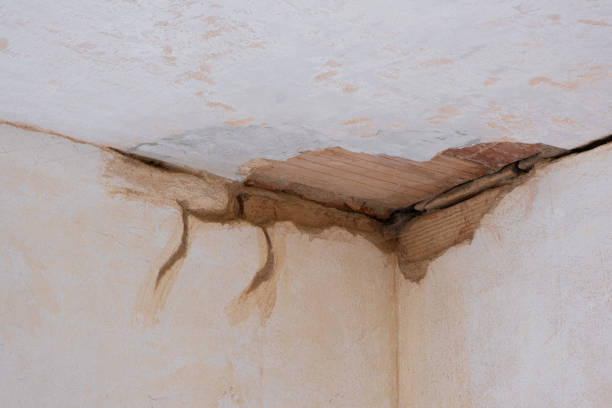 Best Water damage restoration cost  in , DE