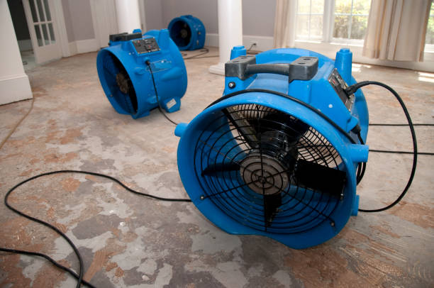 Best Water damage restoration near me  in , DE