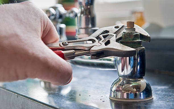 Best Professional water damage repair  in , DE
