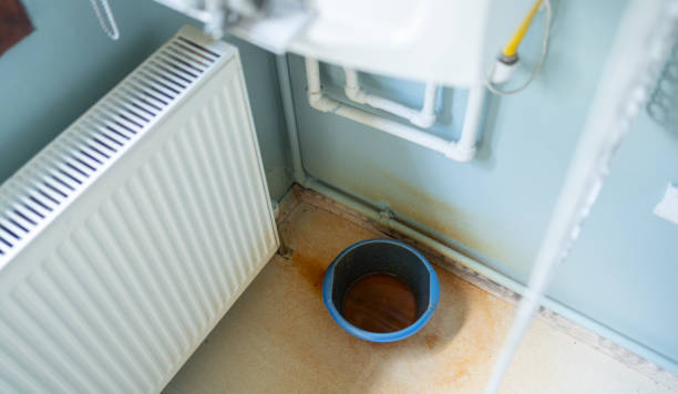 Best Local water damage restoration  in , DE